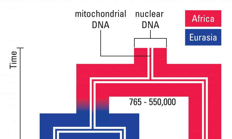 Representación de la evolución. Max Planck Institute